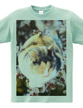 猫ちゃんTシャツ No.1