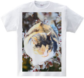 猫ちゃんTシャツ No.1