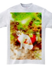 イチゴ猫Tシャツ