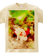 イチゴ猫Tシャツ