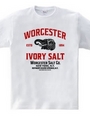 Worcester Salt Co