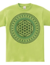 flower of life Mandala4