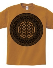 Sacred Geometry Flower of Life and Mandala 5