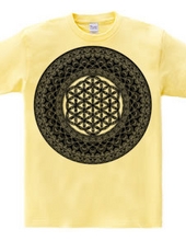 Sacred Geometry Flower of Life and Mandala 5