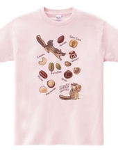 NUTS collection ナッツコレクション