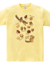 NUTS collection ナッツコレクション