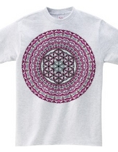 Sacred Geometry Flower of Life and Mandala 6