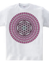 Sacred Geometry Flower of Life and Mandala 6