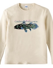 Clover coelacanth