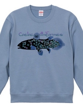 Clover coelacanth