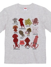 Cute 12 Kinds of squid & octopus (front print)