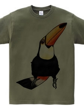 Toucan