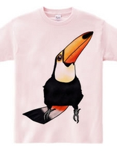 Toucan