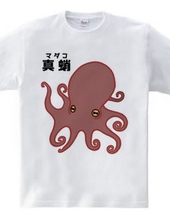 Mr. Octopus