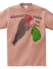 Mogumogu Momoiro parakeet with logo