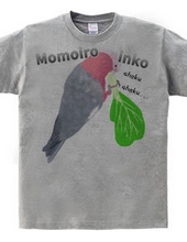 Mogumogu Momoiro parakeet with logo