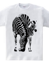 Zebra parent and child