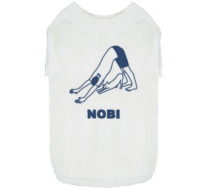 NOBI