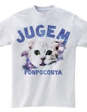 JUGEM CATS