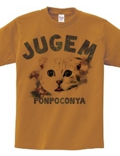 JUGEM CATS