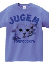 JUGEM CATS