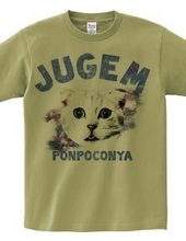 JUGEM CATS