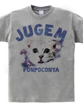 JUGEM CATS