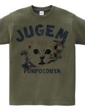 JUGEM CATS