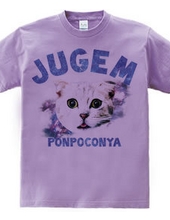 JUGEM CATS