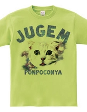 JUGEM CATS