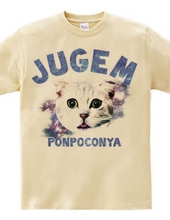 JUGEM CATS