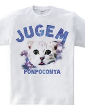 JUGEM CATS