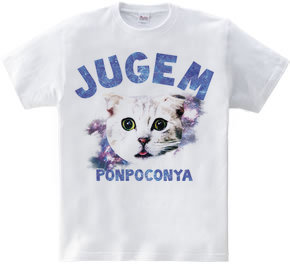 JUGEM CATS