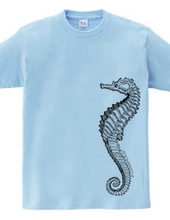 sea horse