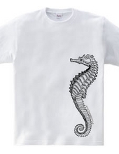 sea horse