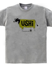 USHI Print