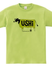 USHI Print