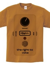 the right to vote