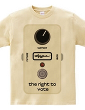 the right to vote