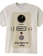 the right to vote