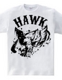 HAWK