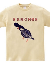 Humor bird design "Bancho"