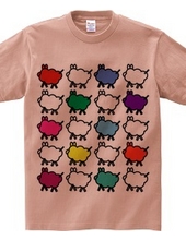 Sheep Color