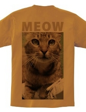 MEOW OLIVE BACK