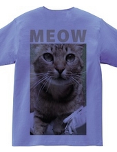 MEOW OLIVE BACK