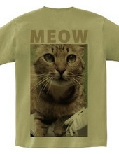 MEOW OLIVE BACK