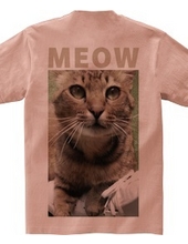 MEOW OLIVE BACK