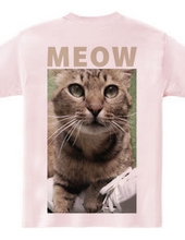 MEOW OLIVE BACK