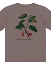 Cherry T-shirt