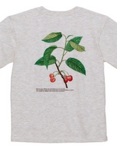 Cherry T-shirt